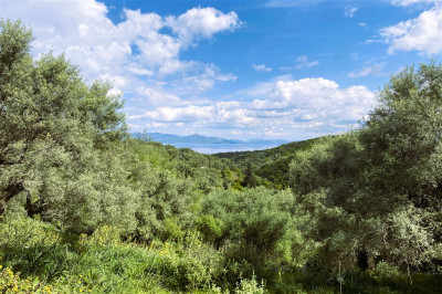 Meganisi Nature Serenity 01.jpg
